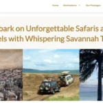 tours-travel-website