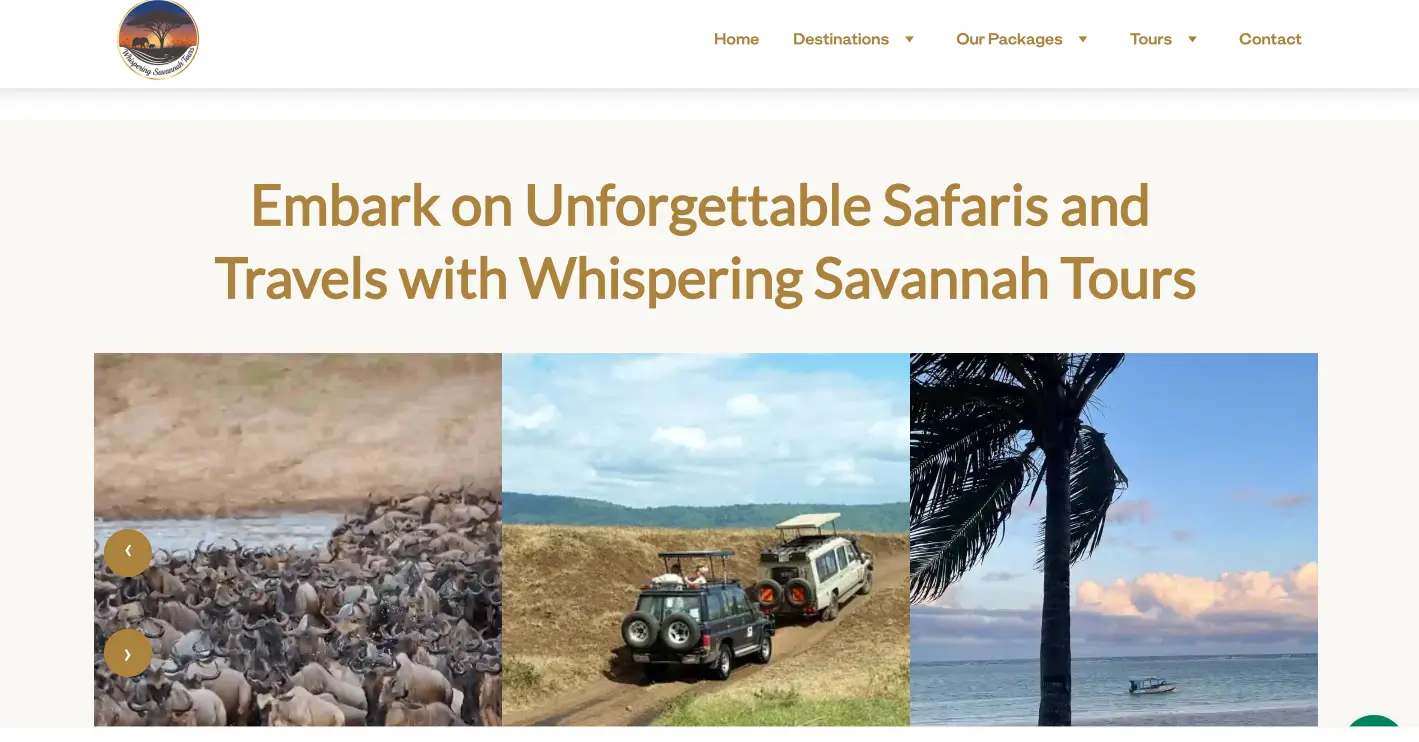 tours-travel-website